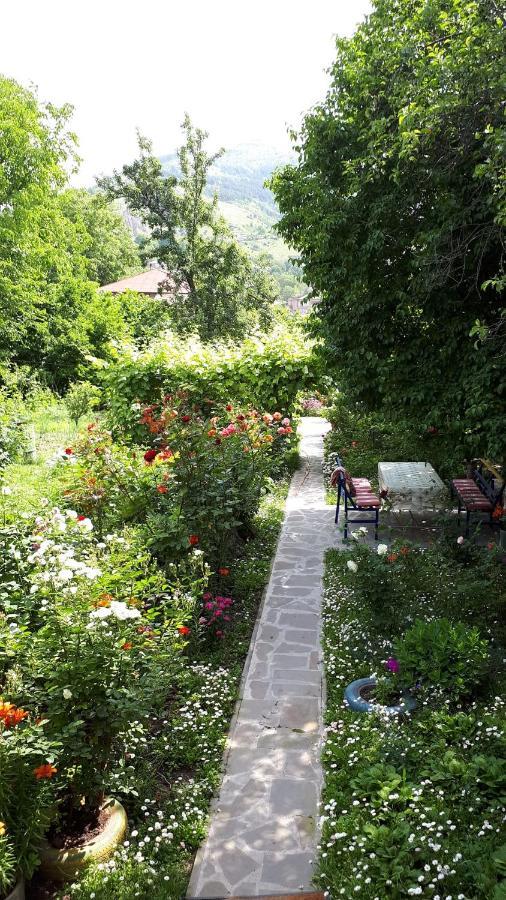 Hotel Mira Goris Bagian luar foto
