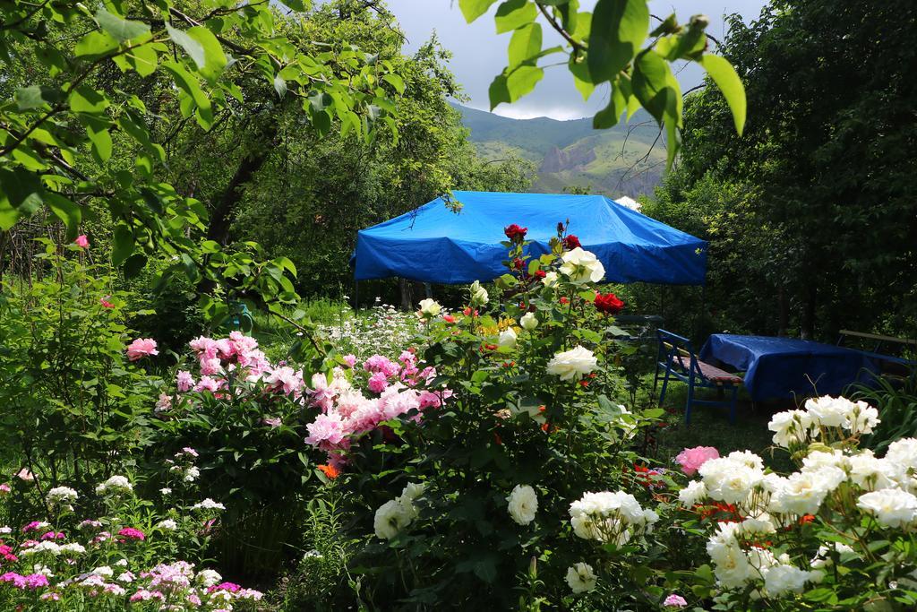 Hotel Mira Goris Bagian luar foto