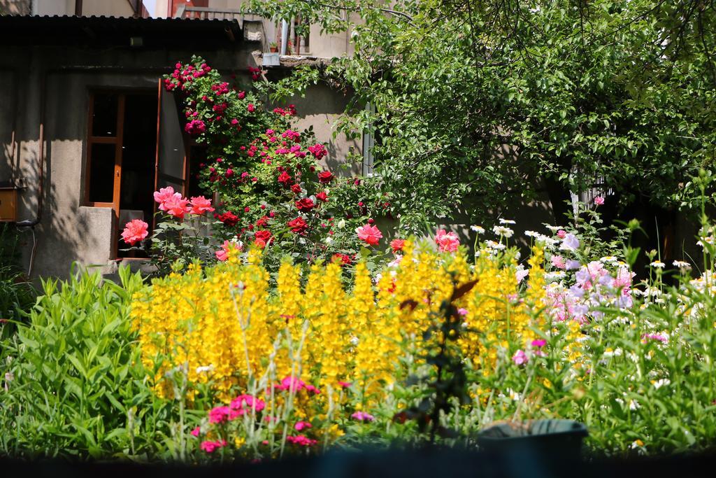 Hotel Mira Goris Bagian luar foto