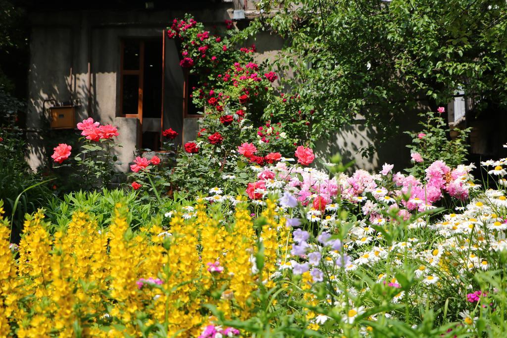 Hotel Mira Goris Bagian luar foto