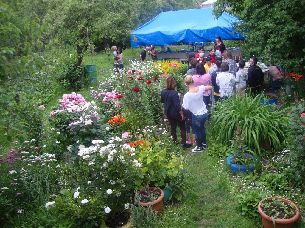 Hotel Mira Goris Bagian luar foto