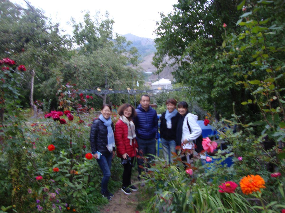 Hotel Mira Goris Bagian luar foto